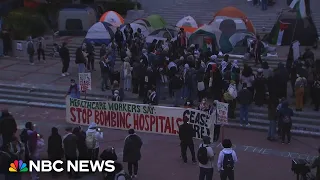 Pro-Palestinian protest grows at UC Berkeley campus