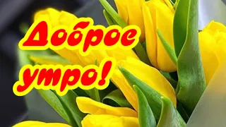 Доброе утречко вам! Удачного денечка!