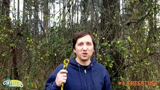 How to Retrieve Stuck Throwline from a Tree with Kevin Nesnow - TreeStuff Community Arborist Video