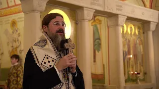 Episcopul Macarie: „Cum să ne eliberăm de stres și de neliniște?”