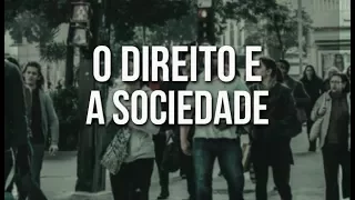 Qual a importância do direito para a sociedade?