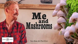 My Honest Experience of Magic Mushroom Mountain in Mexico - San Jose del Pacifico
