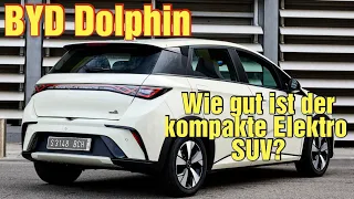 BYD Dolphin - Wissenswertes, Preise, Ausstattungsvarianten, Technische Merkmale