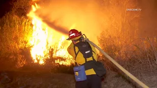 Brush Fire Burns Near Homes | Oceanside