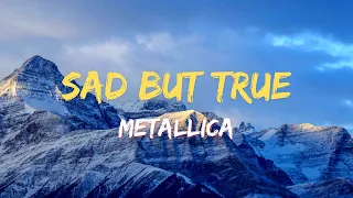 Metallica ~ Sad But True (Lyrics)