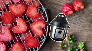 How to Dehydrate Strawberries in the Instant Pot Duo Crisp