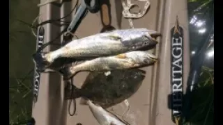 Saltwater Fishing Galveston Tx Flounder,Specs,Reds! (2017)