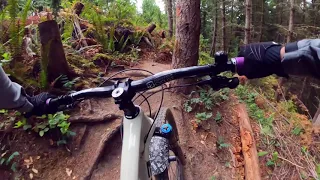 Devilcross - Galbraith (Bellingham) MTB