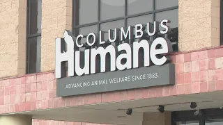 Columbus Humane CEO says dogfighting is a 'consistent challenge' after dozens of dogs seized