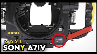 Sony A7iv Been Leaked By a New Underwater Housing mirrorless