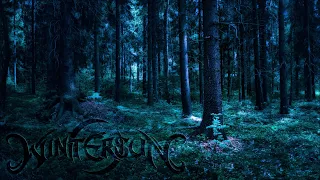 Wintersun - The Forest That Weeps | Mono Mix | fan mix