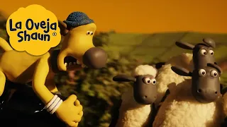 La Oveja Shaun 🐑 Persecución de perros 🐑 Dibujos animados para niños