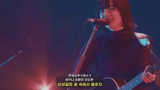 역대급 라이브🎸 아이묭 - 사랑을 전하고 싶다든가