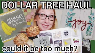 DOLLAR TREE HAUL | ALL BRAND NEW FINDS | BRAND NAME | AMAZING FINDS
