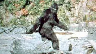 BIGFOOT   GREATEST LEGEND ? BIGGEST HOAX.  LOST HIGHWAY PODCAST