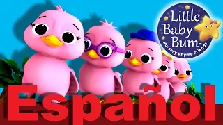 Cinco pajaritos | Canciones infantiles | LittleBabyBum