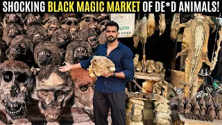 Inside the World's LARGEST VOODOO/BLACK MAGIC Market of D*ad Animals in Africa! 🇹🇬