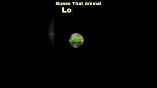 Guess That Animal - Letter L Part 1 #shorts