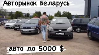 АВТОРЫНОК Беларусь АВТО до 5000$ цены ￼КОНЬ!