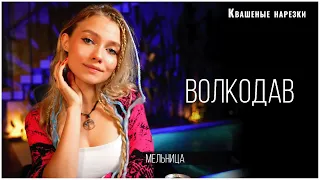 Волкодав - Квашеная (cover  Мельница)