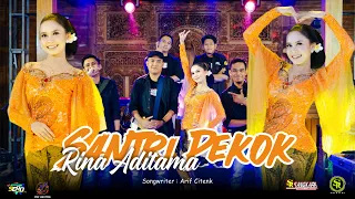 Rina Aditama - Santri Pekok (Official Music Live)