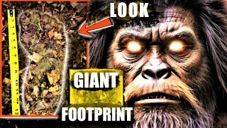 HUGE BIGFOOT TRACKS FOUND | Sasquatch New Update 2023