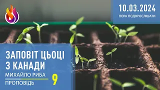 Заповіт цьоці з Канади | Пора подорослішати | 9 | 10.03.2024 | Михайло Риба