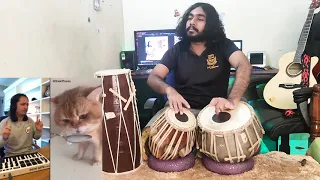 The Kiffness X NumNum Cat Tabla Remix