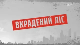 Вкрадений ліс – Секретні матеріали