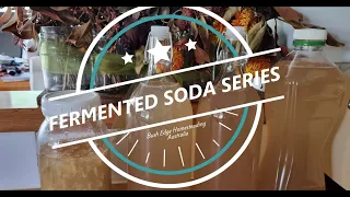 The FERMENTED SODA SERIES! Make your own fermented sodas at home! Ginger bug, soda making + more