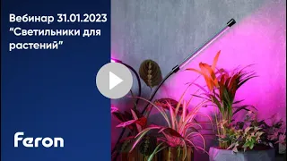 Вебинар Feron: "Освещение для растений" 31.01.2023