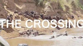 Masai Mara Safari, Kenya 2018