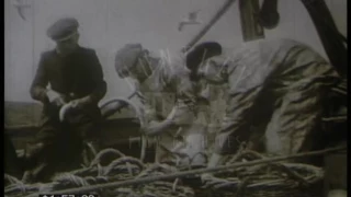 British Fishing, 1940s - Film 18745