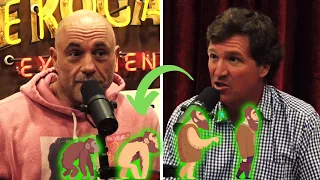 Tucker Carlson DESTROYS Joe Rogan on EVOLUTION: Here is WHY HE IS RIGHT