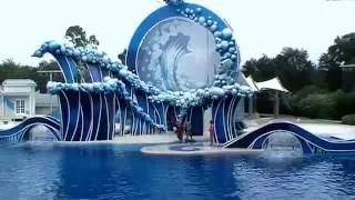 || SEA WORLD show | Музыкальное Шоу с дельфинами | Орландо | Флорида | Америка ||