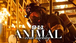 Evan 'Buck' Buckley | Animal