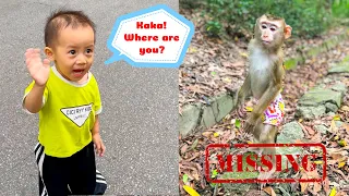 Monkey Kaka went missing in the mountains, making Diem worried