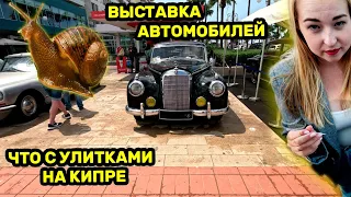 VLOG! Кипр! Фестиваль автомобилей! Фестиваль улиток! Обустраиваем кабинет 3! D.I.Y. #lifestylevlog