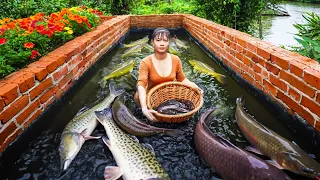 Harvesting A Lot Of Big Fish Goes To Market Sell - Cooking | New Free Bushcraft