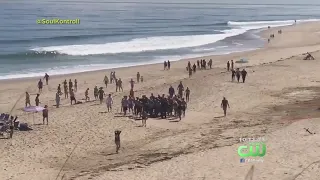 "It Was Like Right Out Of That Movie 'Jaws'": Man Dies After Shark Attack On Cape Cod