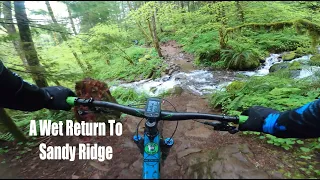 A Wet Return to Sandy Ridge