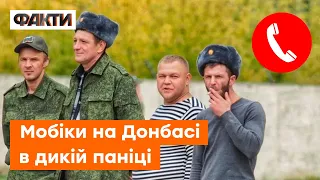 "Хоть ПУТИНУ звоните НАПРЯМУЮ" — вояки ПЕРЕДУМАЛИ "денацифіковувати" Україну