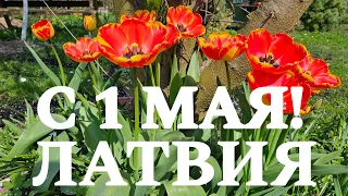 Латвия.1 мая.Наслаждаюсь природой