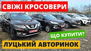 СВІЖЕНЬКІ КРОСОВЕРИ  // ЛУЦЬКИЙ АВТОРИНОК // 29.02.2024р. #автопідбір #кросовери  #автобазар