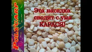 ГОРОХОВАЯ МАСТЫРКА ЛУЧШАЯ ПРИКОРМКА И НАСАДКА НА КАРАСЯ