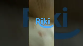 riki logo animation