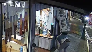 Attempted sign theft ends with faceplant