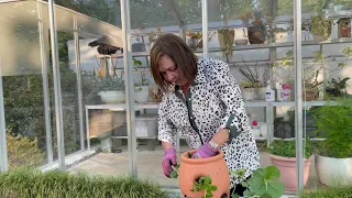 How to Plant a Strawberry Pot with Robin Pollack