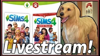 The Sims Info/Thoughts: Cats & Dogs Livestream Tomorrow, Sims Mobile Delayed!