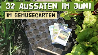 Aussaaten ab Juni im Gemüsegarten - diese Gemüse können jetzt noch sinnvoll ausgesät werden.